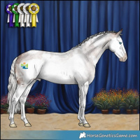 Horse Color:White Spotted Silver Bay Roan Splash Frame Rabicano