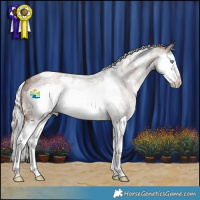 Horse Color:White Spotted Silver Bay Roan Splash Frame Rabicano 