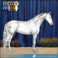 Horse Color:White Spotted Silver Bay Roan Splash Frame