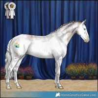 Horse Color:White Spotted Silver Bay Roan Splash Frame 
