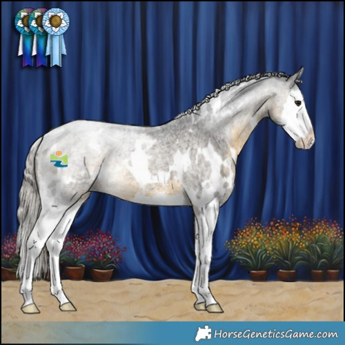 Horse Color:White Spotted Silver Buckskin Roan Splash 