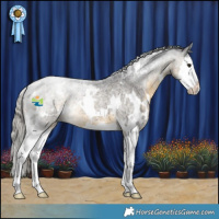 Horse Color:White Spotted Silver Buckskin Roan Splash 