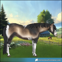 Horse Color:White Spotted Brown Onyx Tobiano Rabicano 
