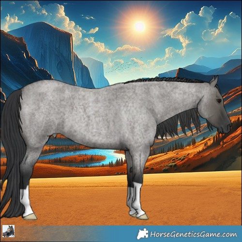 Horse Color:Grullo Roan 