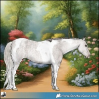 Horse Color:Silver Blue Roan Tobiano Appaloosa Rabicano