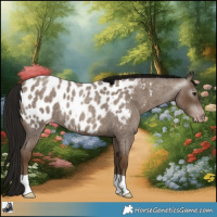 Horse Color:Gray Classic Champagne Roan Blanket