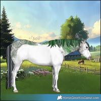 Horse Color:Painted White Spotted Grullo Ice Frame Rabicano