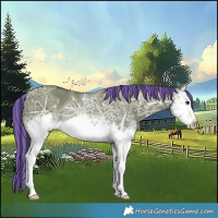 Horse Color:Painted White Spotted Grullo Ice Frame Rabicano 