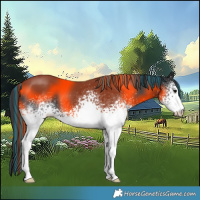 Horse Color:Painted White Spotted Black 