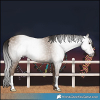 Horse Color:Gray Classic Champagne