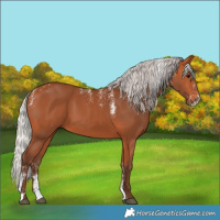 Horse Color:Powder White Silver Bay 