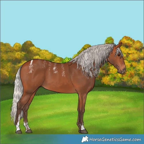 Horse Color:Powder White Silver Bay 