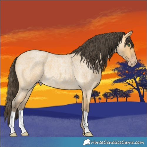 Horse Color:Amber Cream Champagne Roan 