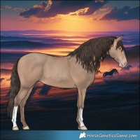 Horse Color:Amber Champagne 
