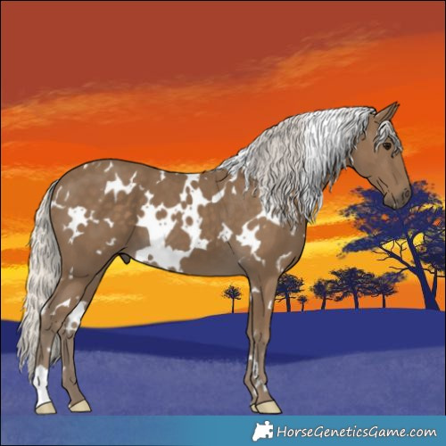 Horse Color:White Spotted Silver Smoky Black 