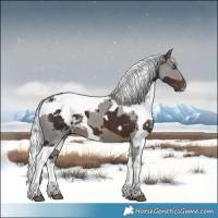 Horse Color:Silver Brown Merle Tobiano 