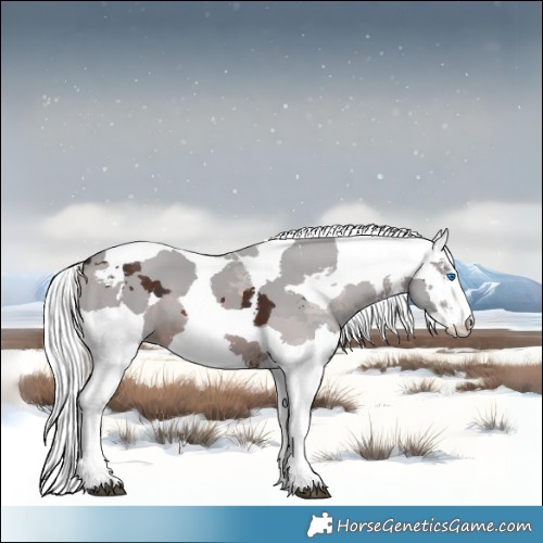 Horse Color:White Spotted Silver Brown Merle 