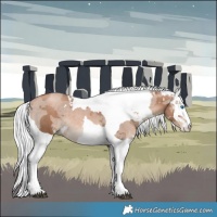 Horse Color:Silver Black Pearl Merle 