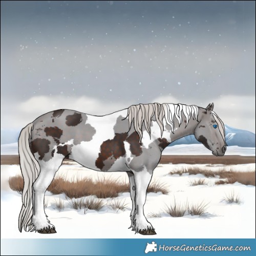 Horse Color:Silver Brown Merle Tobiano 