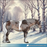 Horse Color:Silver Brown Merle Tobiano Rabicano