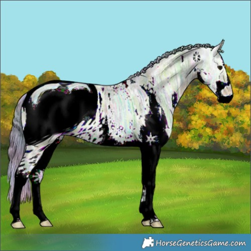 Horse Color:ERROR: UNKNOWN ANOMALY