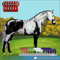 Horse Color:ERROR: UNKNOWN ANOMALY