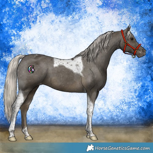 Horse Color:Silver Smoky Black Tobiano Varnish 