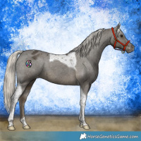 Horse Color:Silver Smoky Black Tobiano Varnish 