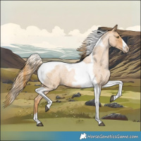 Horse Color:Red Roan Pearl Tobiano Frame