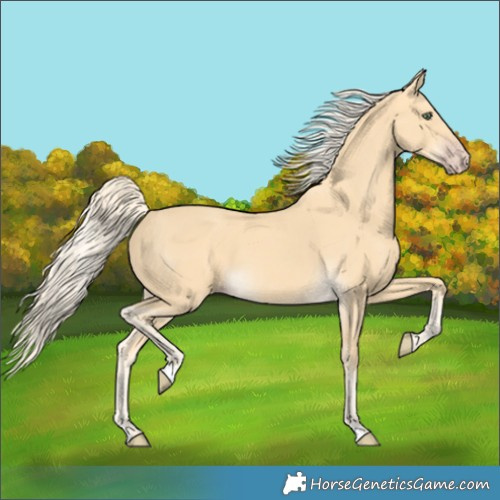 Horse Color:Gold Cream Champagne 