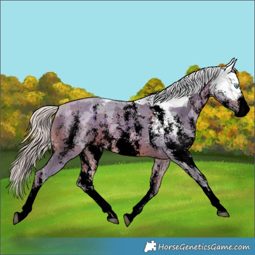 Horse Color:Void Watercolor Silver Brown Merle Sabino Rabicano 