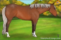 Horse Color:Silver Bay 