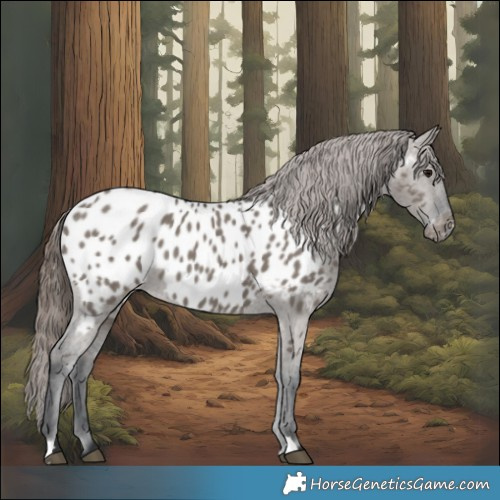 Horse Color:Grullo Near Leopard 