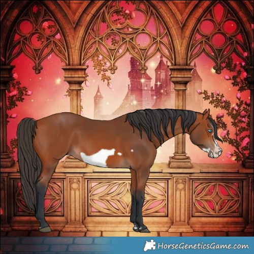 Horse Color:Bay Frame 