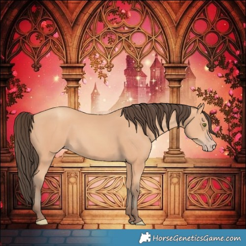 Horse Color:Amber Champagne 