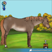 Horse Color:Liver Red Dun 