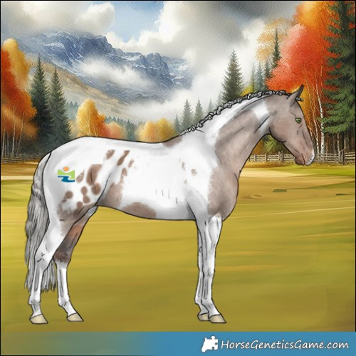 Horse Color:Liver Red Dun Mushroom Tobiano Appaloosa 