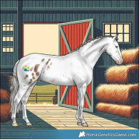 Horse Color:Liver Red Dun Mushroom Tobiano Appaloosa 