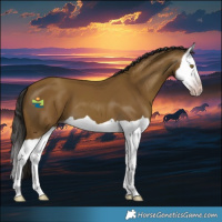 Horse Color:Gray Classic Cream Champagne Splash 