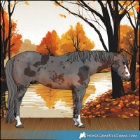 Horse Color:Brown Merle 