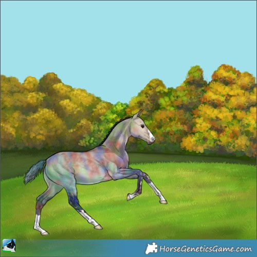 Horse Color:Nacre Brown Dun Rabicano 