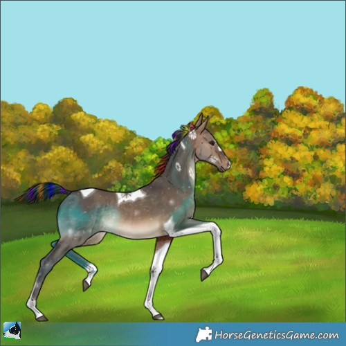 Horse Color:Painted Brown Dun Tobiano Rabicano 