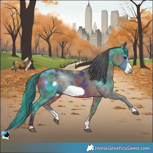 Horse Color:Nacre Brown Sabino Frame Rabicano 
