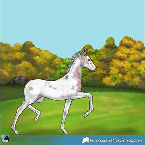 Horse Color:Gray Nacre Brown Dun Tobiano Frame 