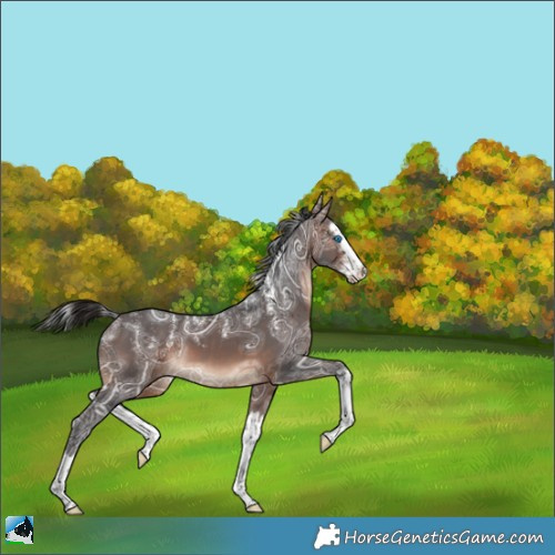 Horse Color:Powder White Brown Ice Splash 