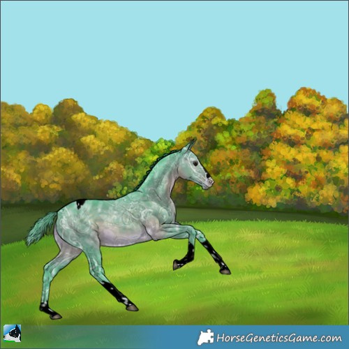 Horse Color:Watercolor Brown Ice Sabino Splash Tobiano 
