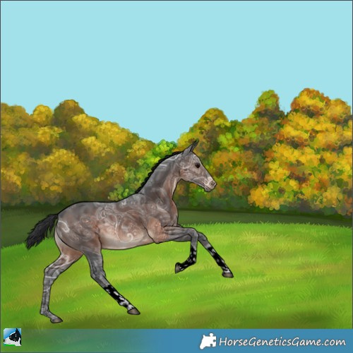 Horse Color:Brown Ice Tobiano 