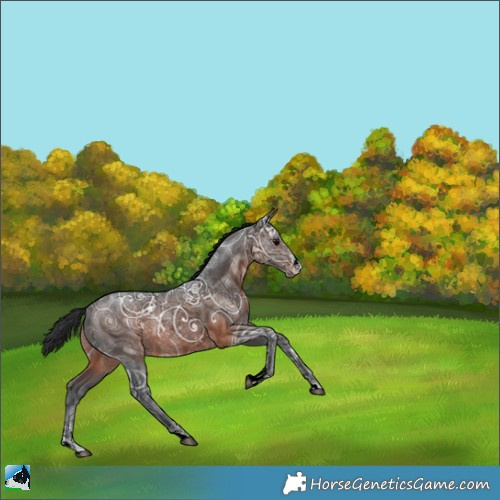 Horse Color:Brown Ice Sabino 