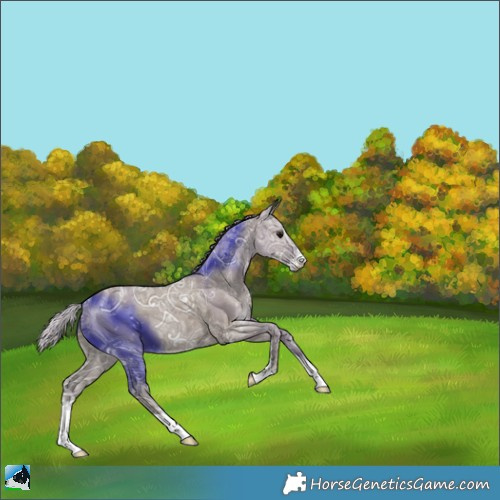 Horse Color:Silver Grullo Ice Sabino 