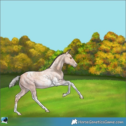 Horse Color:Silver Classic Champagne Ice Tobiano Rabicano 